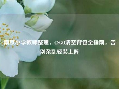 南京小学教师整理，CSGO清空背包全指南，告别杂乱轻装上阵