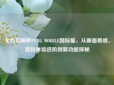 全方位解析PUBG MOBILE国际服，从画面质感、竞技体验进阶到新功能探秘