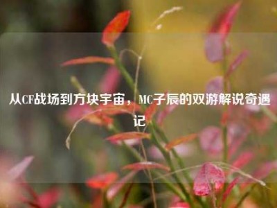 从CF战场到方块宇宙，MC子辰的双游解说奇遇记