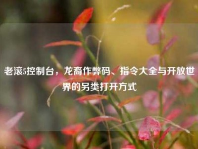 老滚5控制台，龙裔作弊码、指令大全与开放世界的另类打开方式