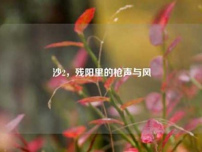 沙2，残阳里的枪声与风