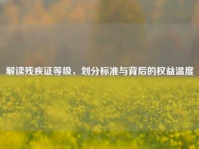 解读残疾证等级，划分标准与背后的权益温度