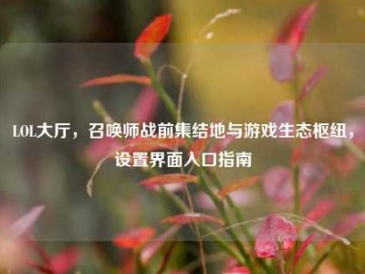 LOL大厅，召唤师战前集结地与游戏生态枢纽，设置界面入口指南