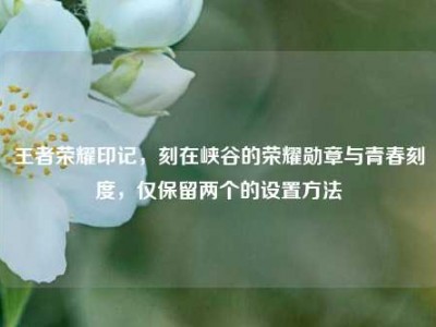 王者荣耀印记，刻在峡谷的荣耀勋章与青春刻度，仅保留两个的设置方法