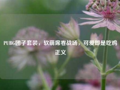 PUBG团子套装，软萌席卷战场，可爱即是吃鸡正义