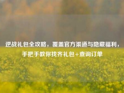 逆战礼包全攻略，覆盖官方渠道与隐藏福利，手把手教你找齐礼包+查询订单