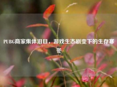 PUBG商家集体泪目，游戏生态剧变下的生存寒冬