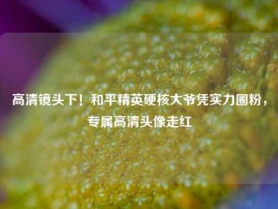 高清镜头下！和平精英硬核大爷凭实力圈粉，专属高清头像走红