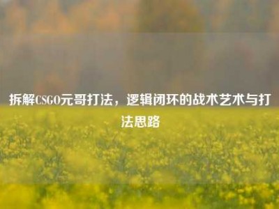 拆解CSGO元哥打法，逻辑闭环的战术艺术与打法思路