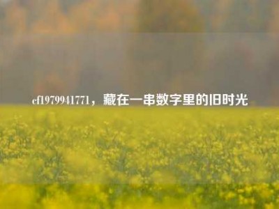 cf1979941771，藏在一串数字里的旧时光