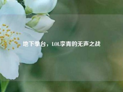 地下拳台，LOL李青的无声之战