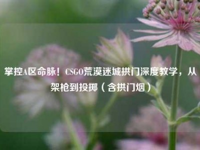 掌控A区命脉！CSGO荒漠迷城拱门深度教学，从架枪到投掷（含拱门烟）