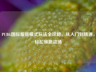 PUBG国际服新模式玩法全攻略，从入门到精通，轻松领跑战场
