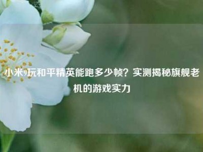 小米9玩和平精英能跑多少帧？实测揭秘旗舰老机的游戏实力