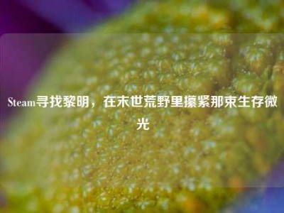Steam寻找黎明，在末世荒野里攥紧那束生存微光