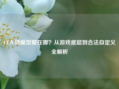 CF人物模型藏在哪？从游戏底层到合法自定义全解析