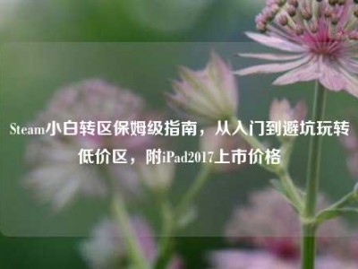 Steam小白转区保姆级指南，从入门到避坑玩转低价区，附iPad2017上市价格