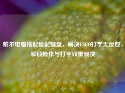 戴尔电脑搭配适配键盘，解决CSGO打字无反应，解锁操作与打字双重畅快