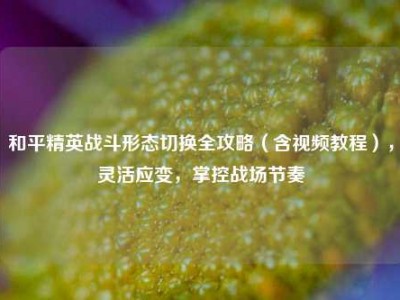 和平精英战斗形态切换全攻略（含视频教程），灵活应变，掌控战场节奏