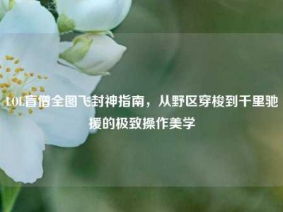 LOL盲僧全图飞封神指南，从野区穿梭到千里驰援的极致操作美学