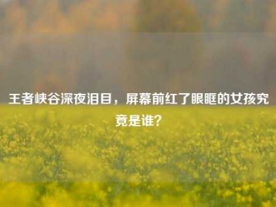 王者峡谷深夜泪目，屏幕前红了眼眶的女孩究竟是谁？