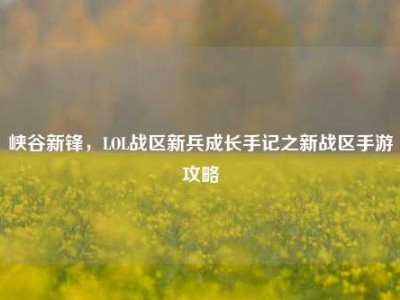 峡谷新锋，LOL战区新兵成长手记之新战区手游攻略