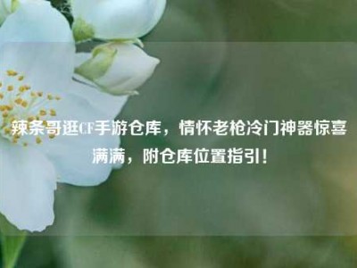 辣条哥逛CF手游仓库，情怀老枪冷门神器惊喜满满，附仓库位置指引！