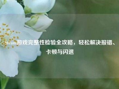 Steam游戏完整性检验全攻略，轻松解决报错、卡顿与闪退