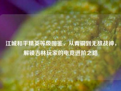 江城和平精英等级图鉴，从青铜到无敌战神，解锁吉林玩家的电竞进阶之路