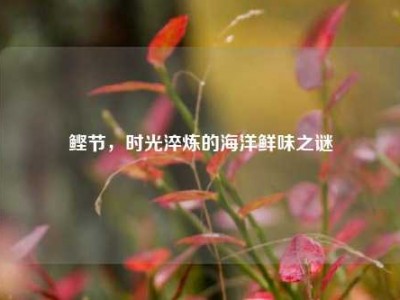 鲣节，时光淬炼的海洋鲜味之谜