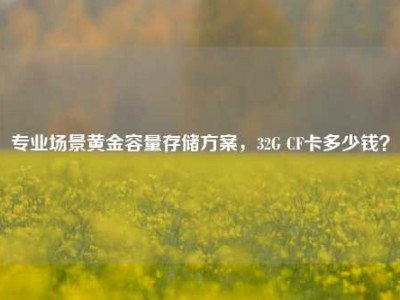 专业场景黄金容量存储方案，32G CF卡多少钱？