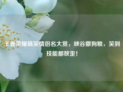 王者荣耀搞笑情侣名大赏，峡谷撒狗粮，笑到技能都放歪！