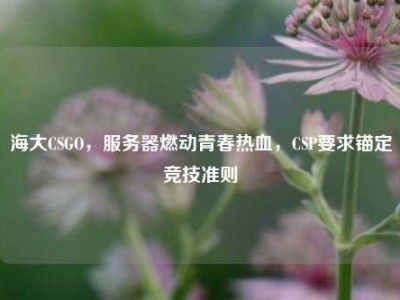 海大CSGO，服务器燃动青春热血，CSP要求锚定竞技准则