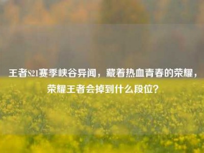 王者S21赛季峡谷异闻，藏着热血青春的荣耀，荣耀王者会掉到什么段位？