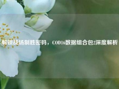 解锁战场制胜密码，COD16数据组合包2深度解析