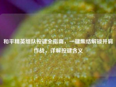和平精英组队按键全指南，一键集结解锁并肩作战，详解按键含义