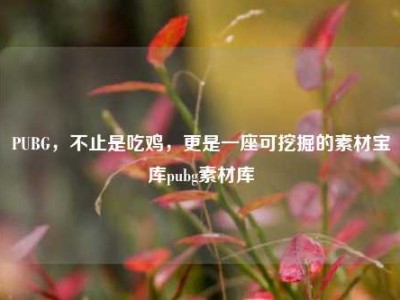 PUBG，不止是吃鸡，更是一座可挖掘的素材宝库pubg素材库