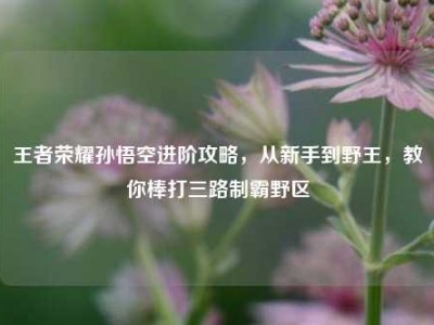 王者荣耀孙悟空进阶攻略，从新手到野王，教你棒打三路制霸野区