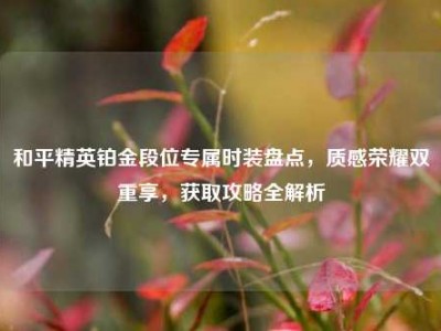 和平精英铂金段位专属时装盘点，质感荣耀双重享，获取攻略全解析