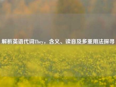 解析英语代词They，含义、读音及多重用法探寻