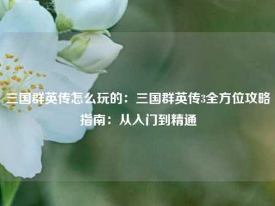 三国群英传怎么玩的：三国群英传3全方位攻略指南：从入门到精通