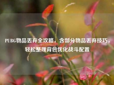 PUBG物品丢弃全攻略，含部分物品丢弃技巧，轻松整理背包优化战斗配置