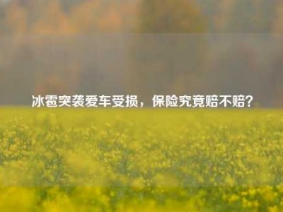 冰雹突袭爱车受损，保险究竟赔不赔？