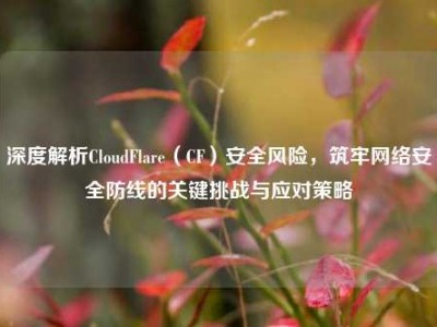 深度解析CloudFlare（CF）安全风险，筑牢网络安全防线的关键挑战与应对策略