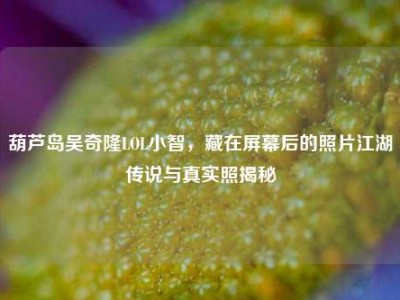 葫芦岛吴奇隆LOL小智，藏在屏幕后的照片江湖传说与真实照揭秘
