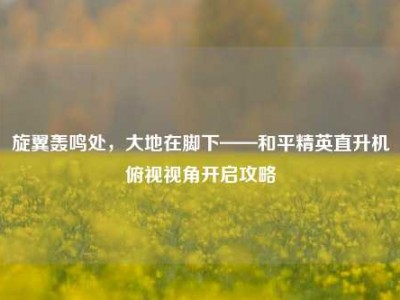 旋翼轰鸣处，大地在脚下——和平精英直升机俯视视角开启攻略