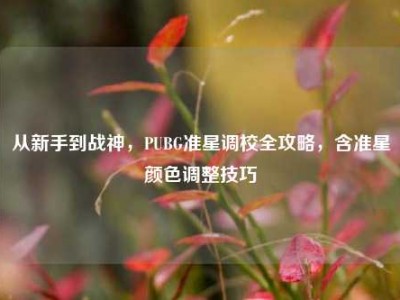 从新手到战神，PUBG准星调校全攻略，含准星颜色调整技巧