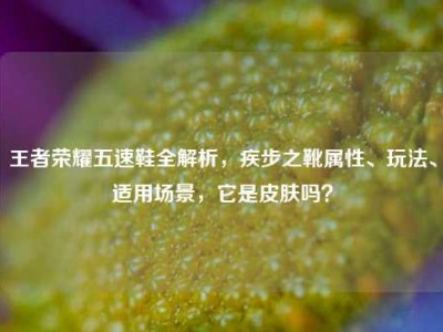 王者荣耀五速鞋全解析，疾步之靴属性、玩法、适用场景，它是皮肤吗？