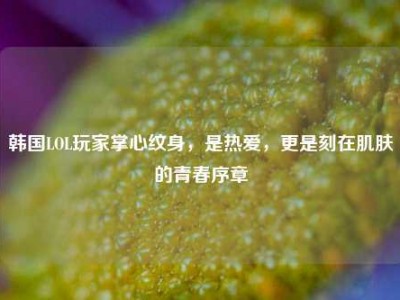 韩国LOL玩家掌心纹身，是热爱，更是刻在肌肤的青春序章