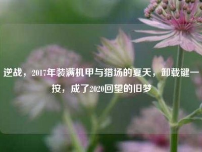 逆战，2017年装满机甲与猎场的夏天，卸载键一按，成了2020回望的旧梦